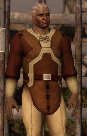 Archivo:Sten-dragon-age-origins.jpg