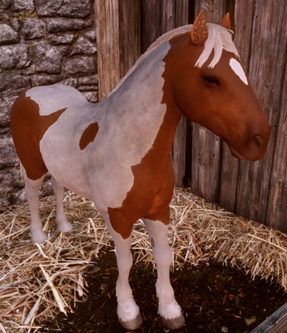 File:Anderfels-Courser.png