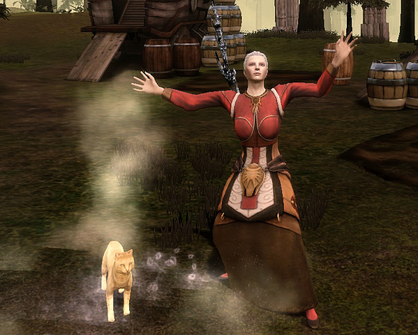 Dragon Age Origins Gifts Cat Lady S Hobble Stick Dragon Age Origins Gifts Cat Lady S Hobble Stick
