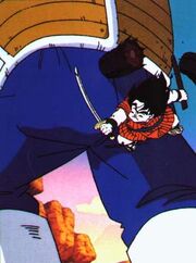 Yajirobe4.jpg