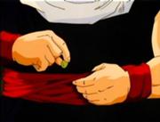 180px-Dbzmovie5 641.jpg