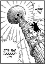 Goku makes it to the top of Korin Tower