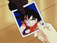GokusPicTao