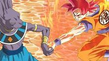 Beerus 3.jpg