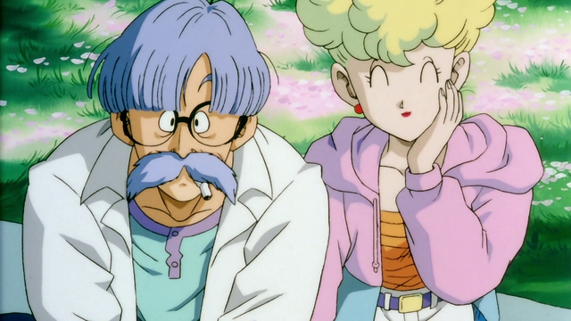 File:MrAndMrsBriefInBrolyTheLSS.png