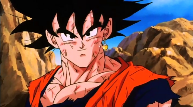 File:GokuPotara.png