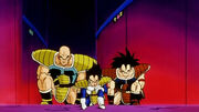 Vegetaplanetshikk.jpg