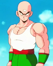 TienGokusSpecialTechnique.png