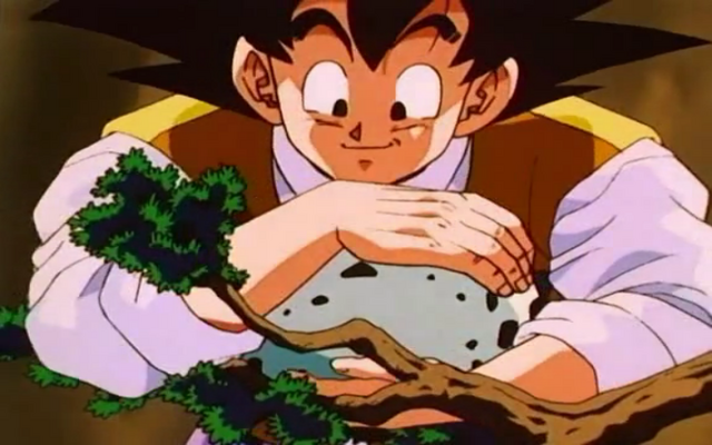 File:GokuGetsPteroEgg.png