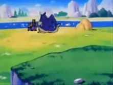 AnimalVillage.png