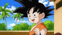 SonGoku-Regles.jpg