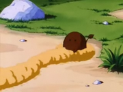 Topos.png