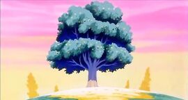 Ensenji Tree
