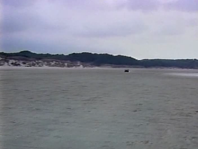 File:Koreandesert.png