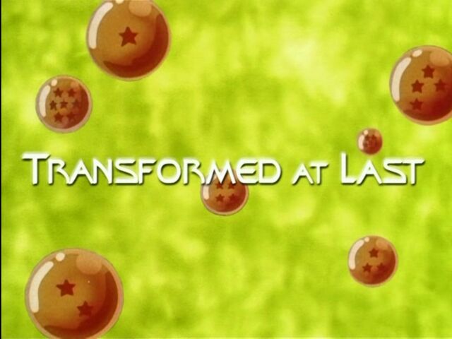 File:Transformed at Last.jpg