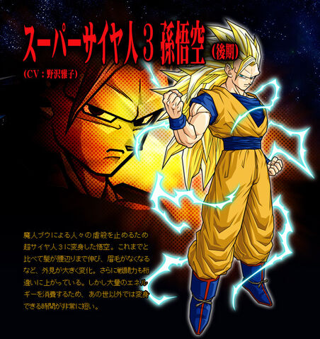 File:Goku (End) SS3 BT3.jpg