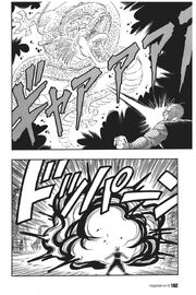 Demon King Piccolo kills Shenlong