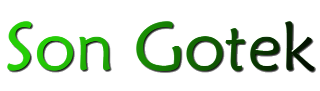 File:Gotek'sPic2.png