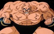 Nappa7.jpg
