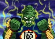 Piccolo.jpg