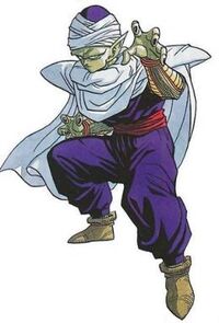 Piccolo.jpg