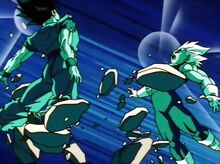 Potara1.jpg