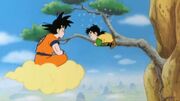 Nimbus.jpg