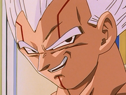 VegetaS3