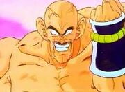 Nappa5.jpg