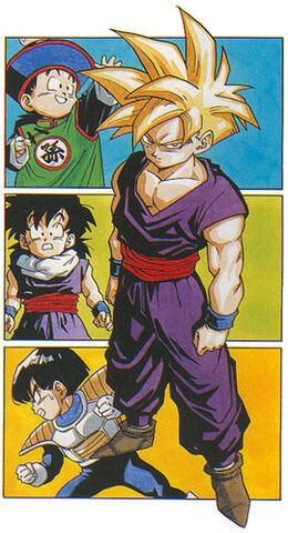 Datoteka:Gohan.jpg