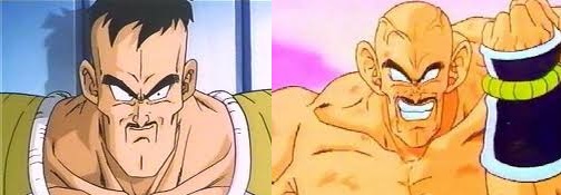 Arquivo:NAPPA 0.jpg