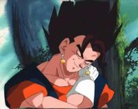 Vegetto.jpg