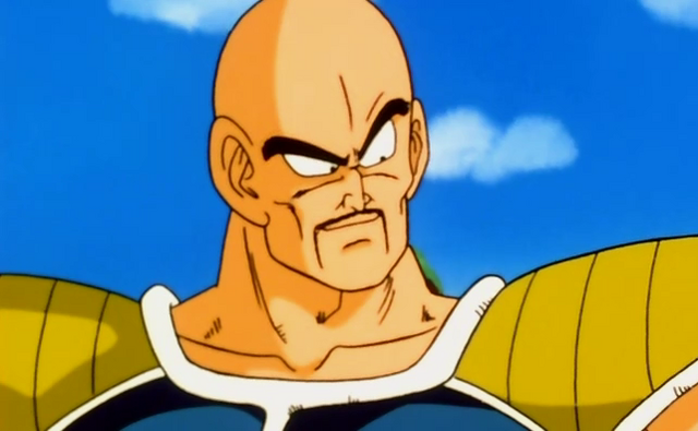 File:NappaEarthSS01.png