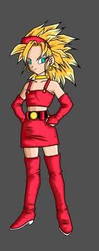 BRA SSJ