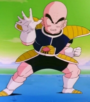 CrilinNamek.png