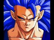 Goku SSJ10.jpg