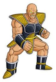 NAPA SSJ.jpg