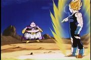 Cap073