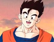 Happy Gohan