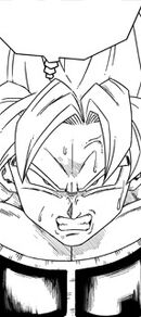 KakarottoAngry