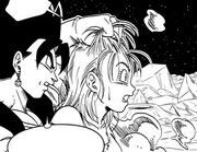 Brayu and Vegetto
