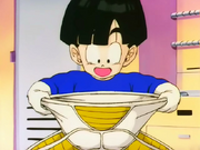 GohanSaiyanArmorNamekSaga
