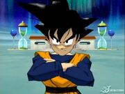 Budokai 2 112