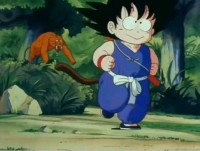 Gokucatchase