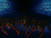 AngryPilafDogs