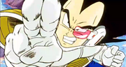 Vegeta Finishes Cui