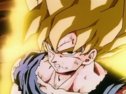 GokuSS1FriezaS