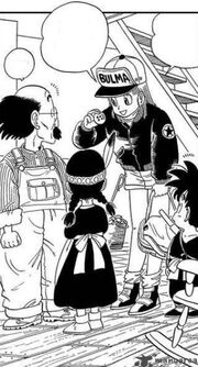 Bulmawith4starball