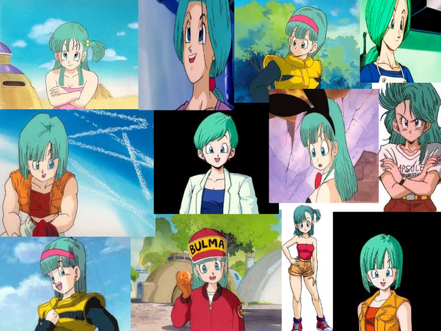 File:Bulma fan.png
