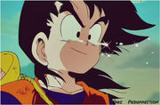 Gohan.jpg